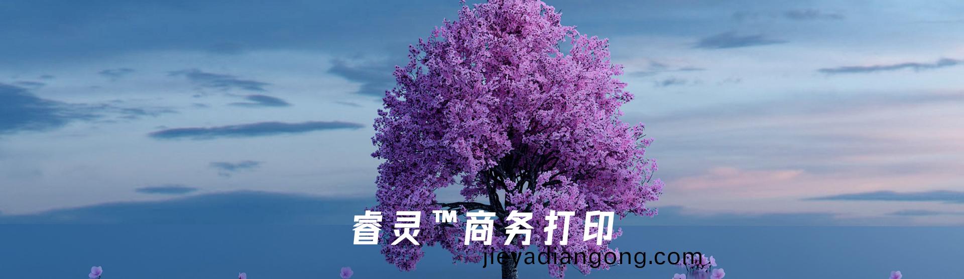 信(xin)創辦公外(wai)設 信(xin)創辦(ban)公(gong)外(wai)設(she)